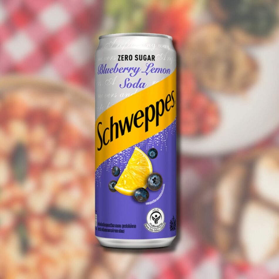 Schweppes Zero Sugar Blueberry Lemon Soda